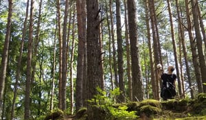 Natalia Mamcarczyk (Walya) field recording the ambiance of the woods
