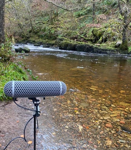 A picture of a microphone set up beside a stream