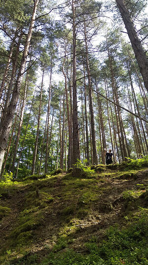 Natalia Mamcarczyk field recording in the forest